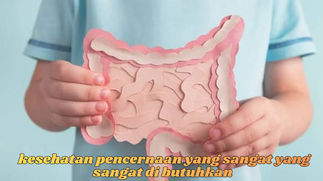 kesehatan pencernaan